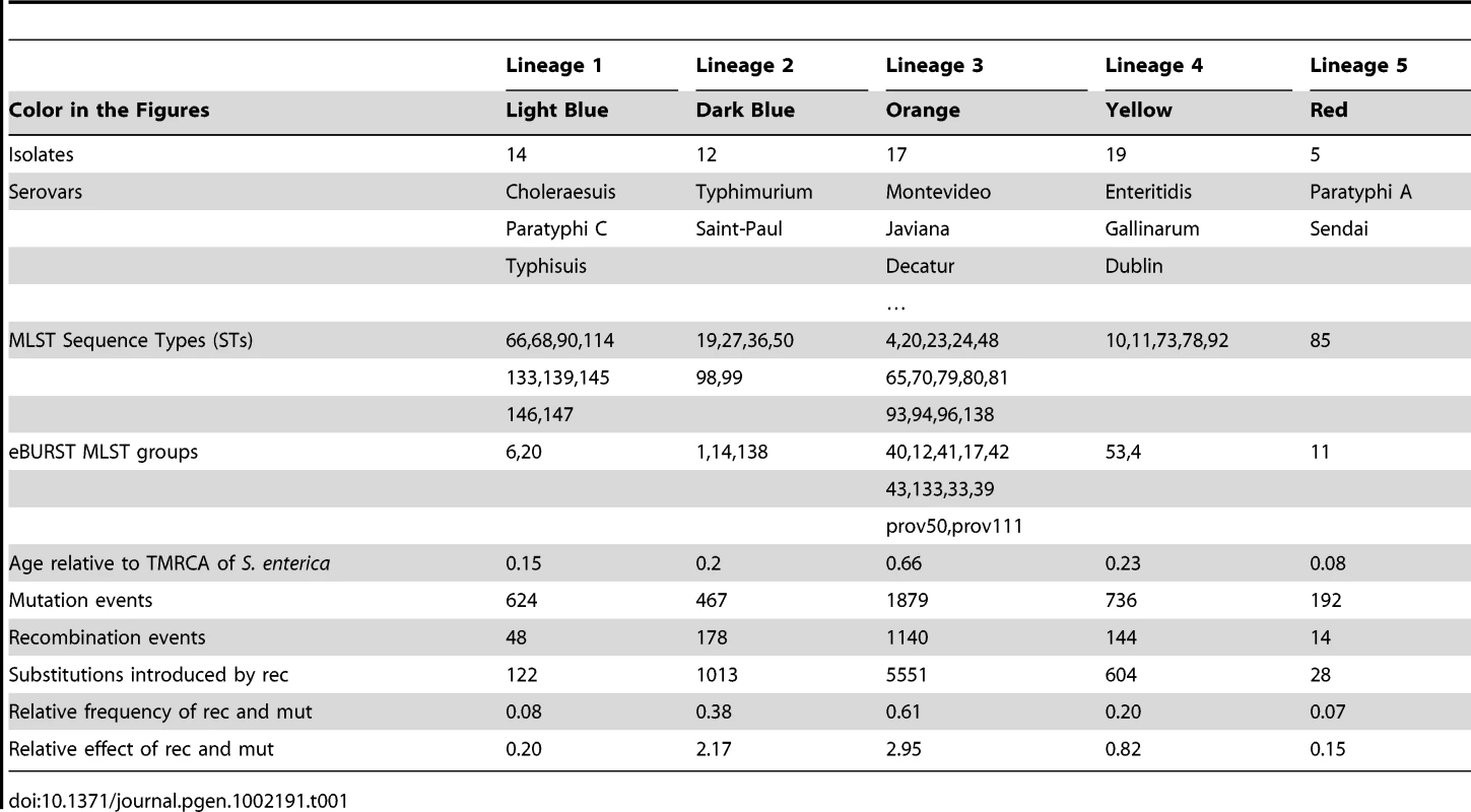 Content of the lineages and results of the ClonalFrame analysis.