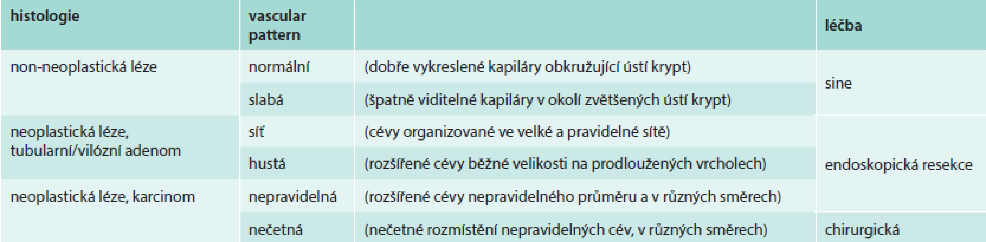 Kategorie „vascular pattern“ na povrchu sliznice tlustého střeva: zvětšovací kolonoskopie s NBI