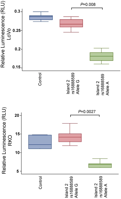 Reporter gene activity for the island 2 construct incorporating rs16888589.
