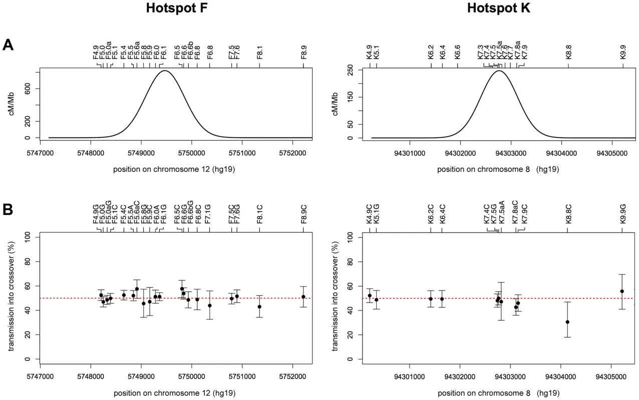No evidence for CO asymmetry.
