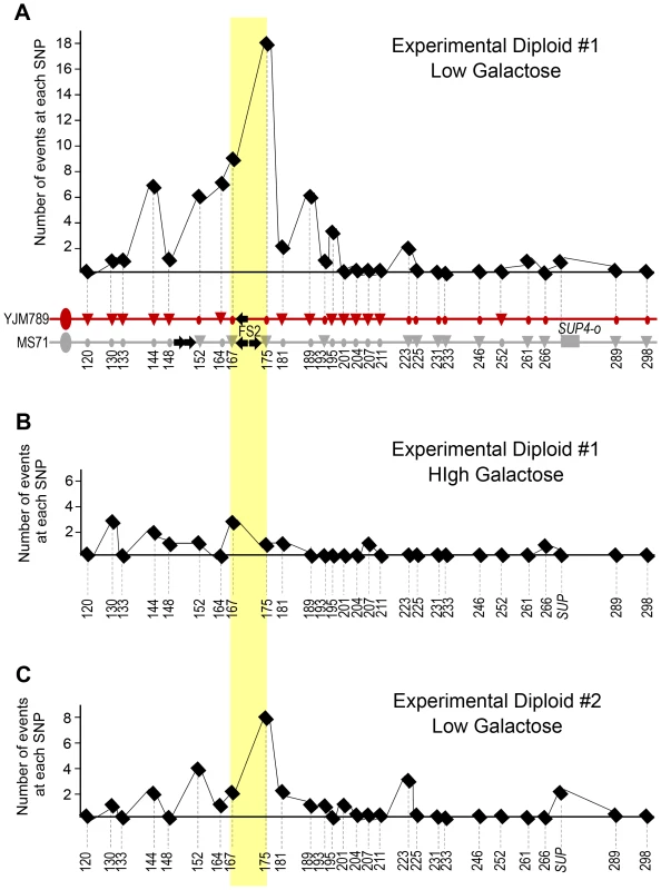 Fragile site FS2 is a hotspot for initiation of BIR events resulting in LOH.