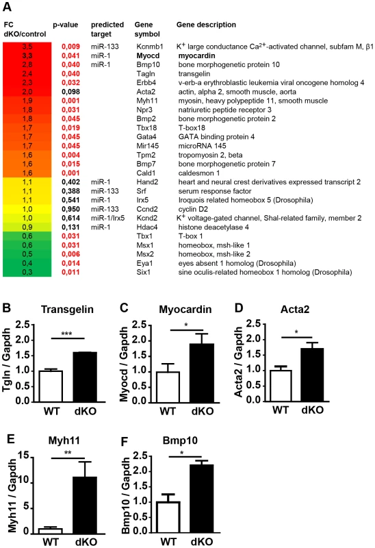 Deletion of <i>miR-1/133a</i> clusters induces up-regulation of smooth muscle-specific genes leading to multiple transcriptional changes in embryonic hearts.
