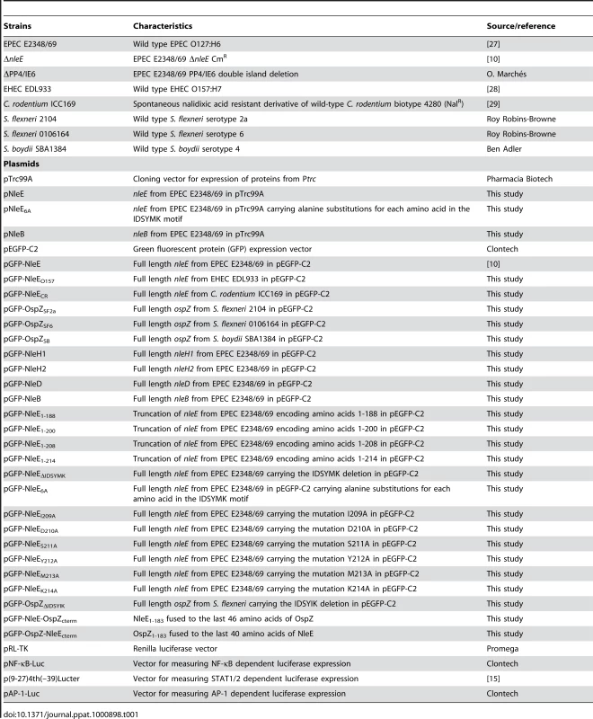 Bacterial strains and plasmids used in this study.