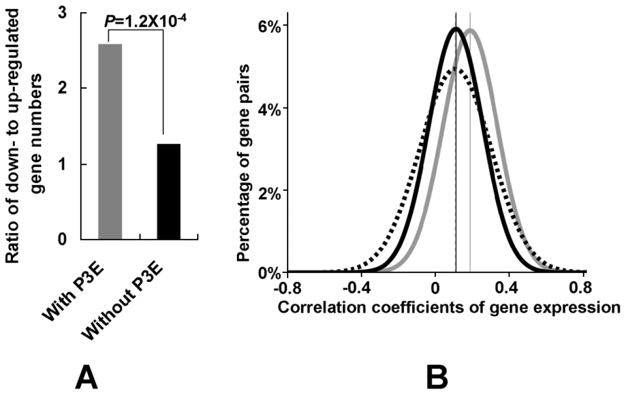 Regulation of mitochondrial genes by Puf3p regulon.