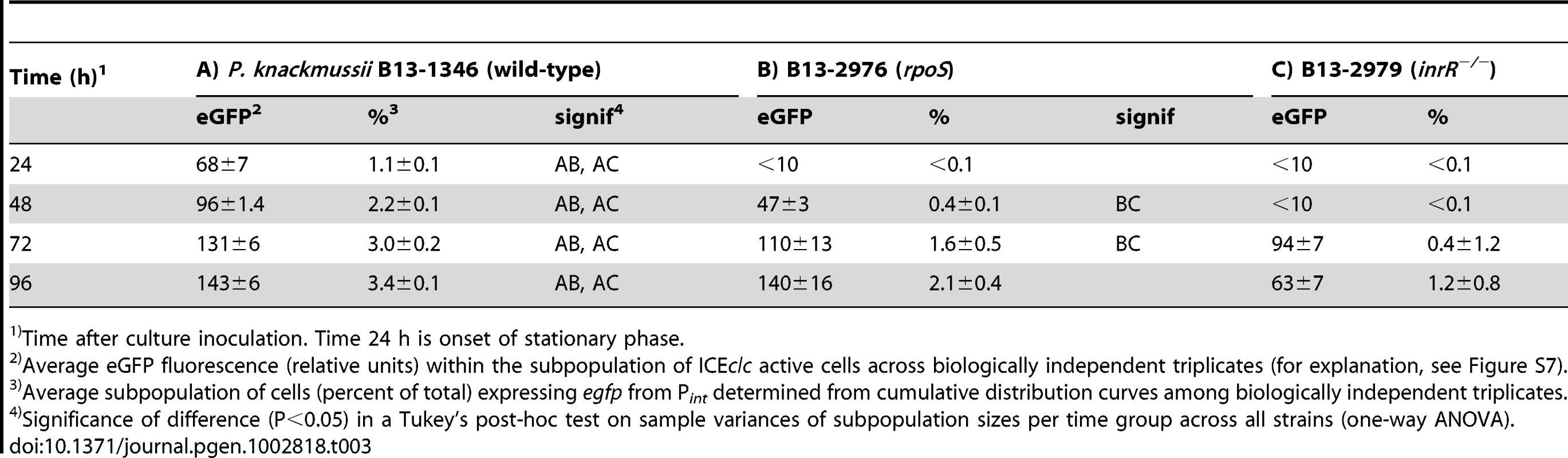 Comparison of <i>rpoS</i> with double <i>inrR</i> deletion on eGFP expression from a single copy P<i><sub>int</sub></i>-<i>egfp</i> fusion.