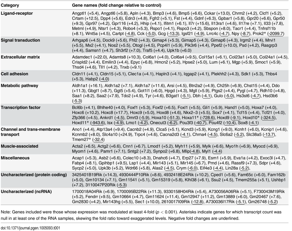 Most significantly deregulated genes in e12.5 TashT eNCC.
