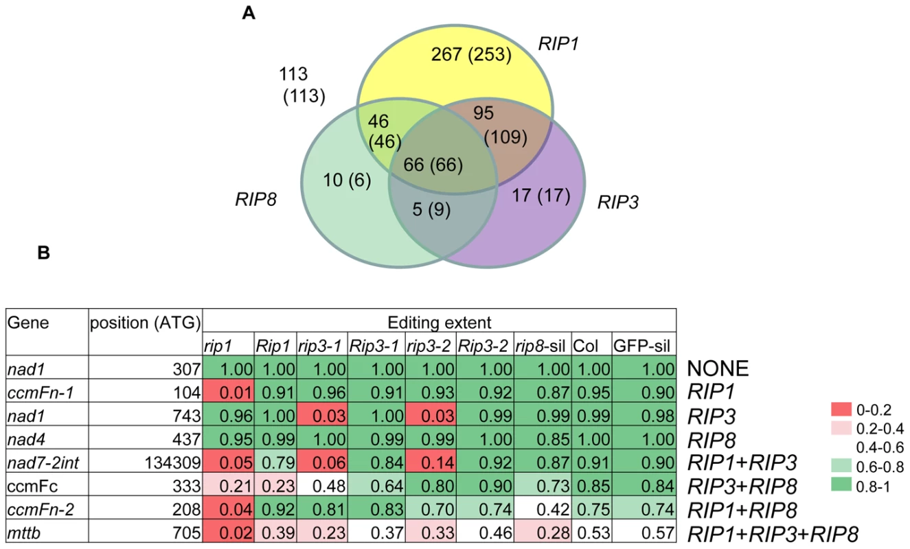 Relative importance of RIPs on mitochondrial editing.