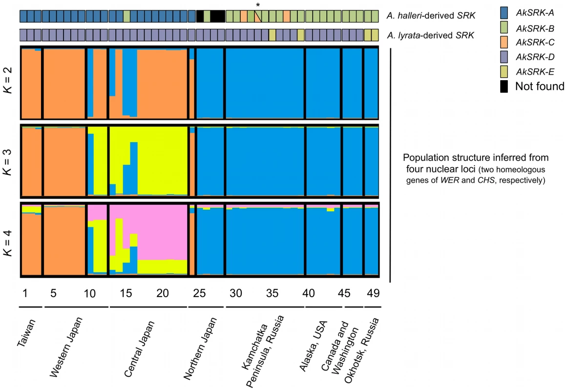 The geographic distribution of <i>S</i>-haplogroups and population structure in <i>A. kamchatica</i>.