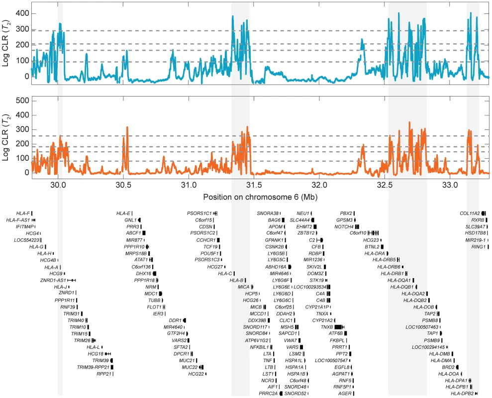 Signals of balancing selection within the HLA region for the CEU (blue) and YRI (orange) populations using the  test statistic.