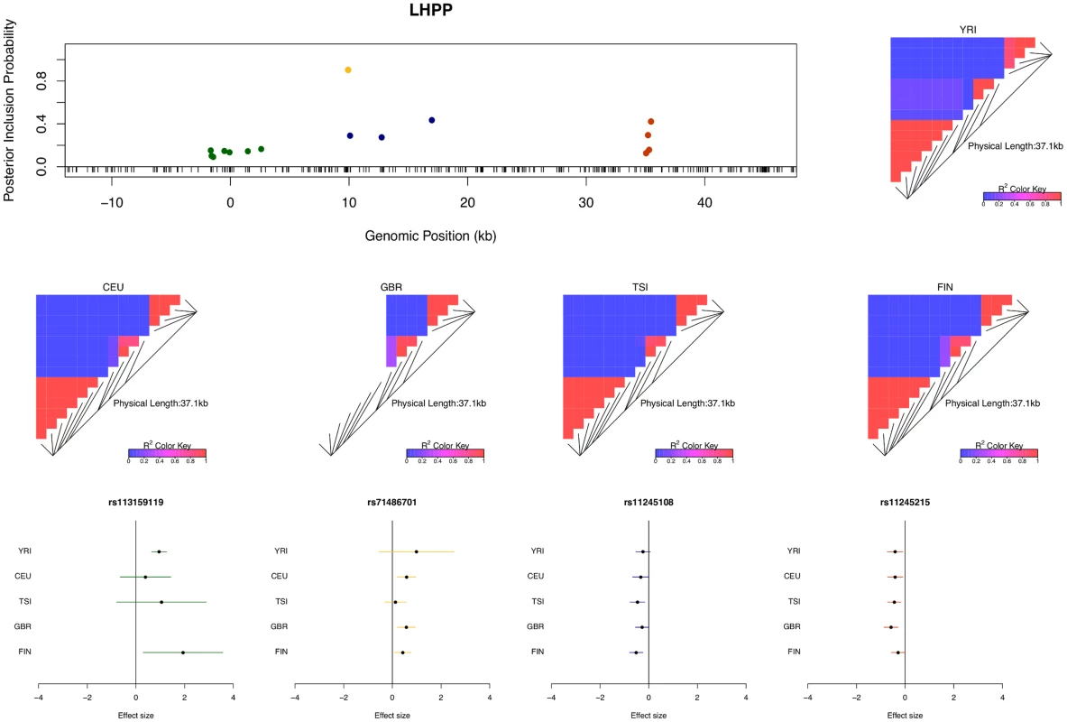 An example of a gene harboring four independent <i>cis</i>-eQTL signals.