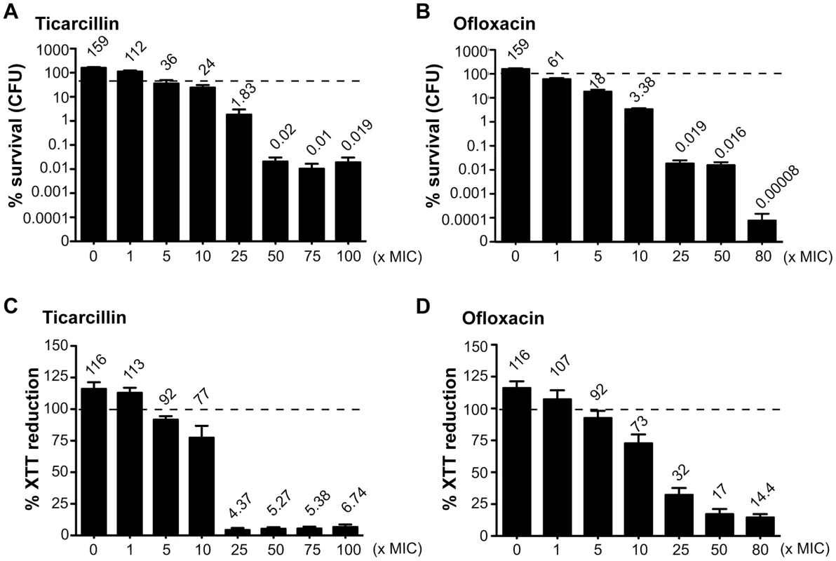 Antibiotic-tolerant populations of <i>E. coli</i> K-12 TG1 biofilms.