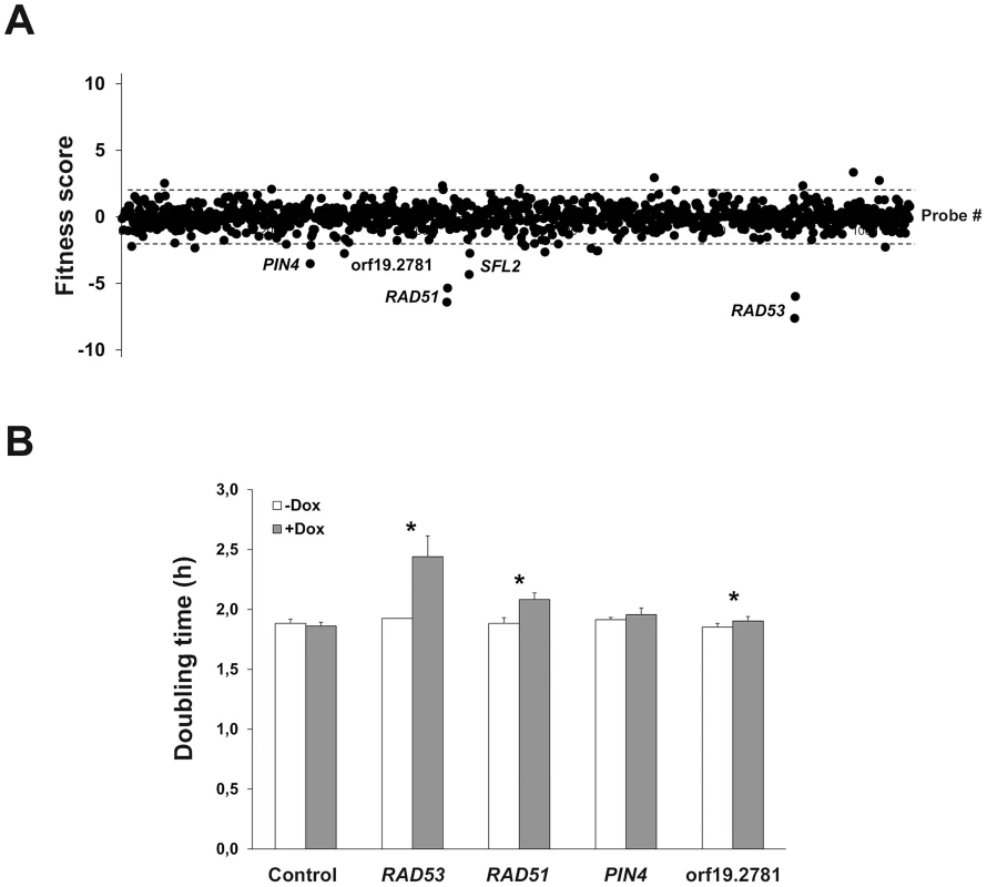 Identification of genes whose overexpression alters planktonic cell fitness.