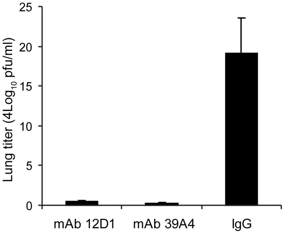 Anti-H3 mAbs protect against replication of H3 virus in lungs.