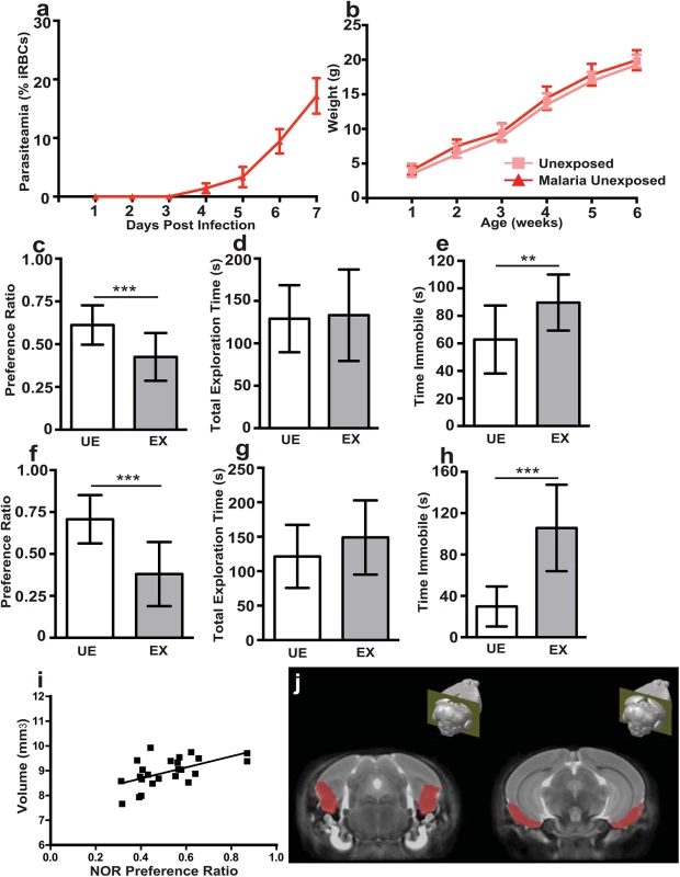 <i>In utero</i> exposure to EMIP induces a persistent neurocognitive phenotype in offspring but is not associated with regional volumetric anatomical changes determined by MRI.