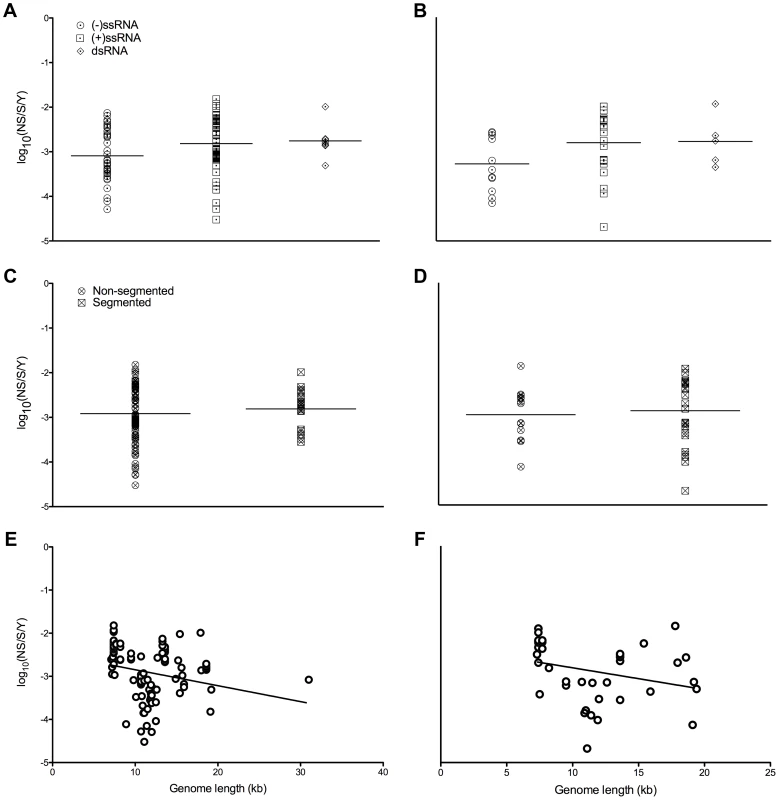 Nucleotide substitution rates and genomic properties of mammalian RNA viruses.