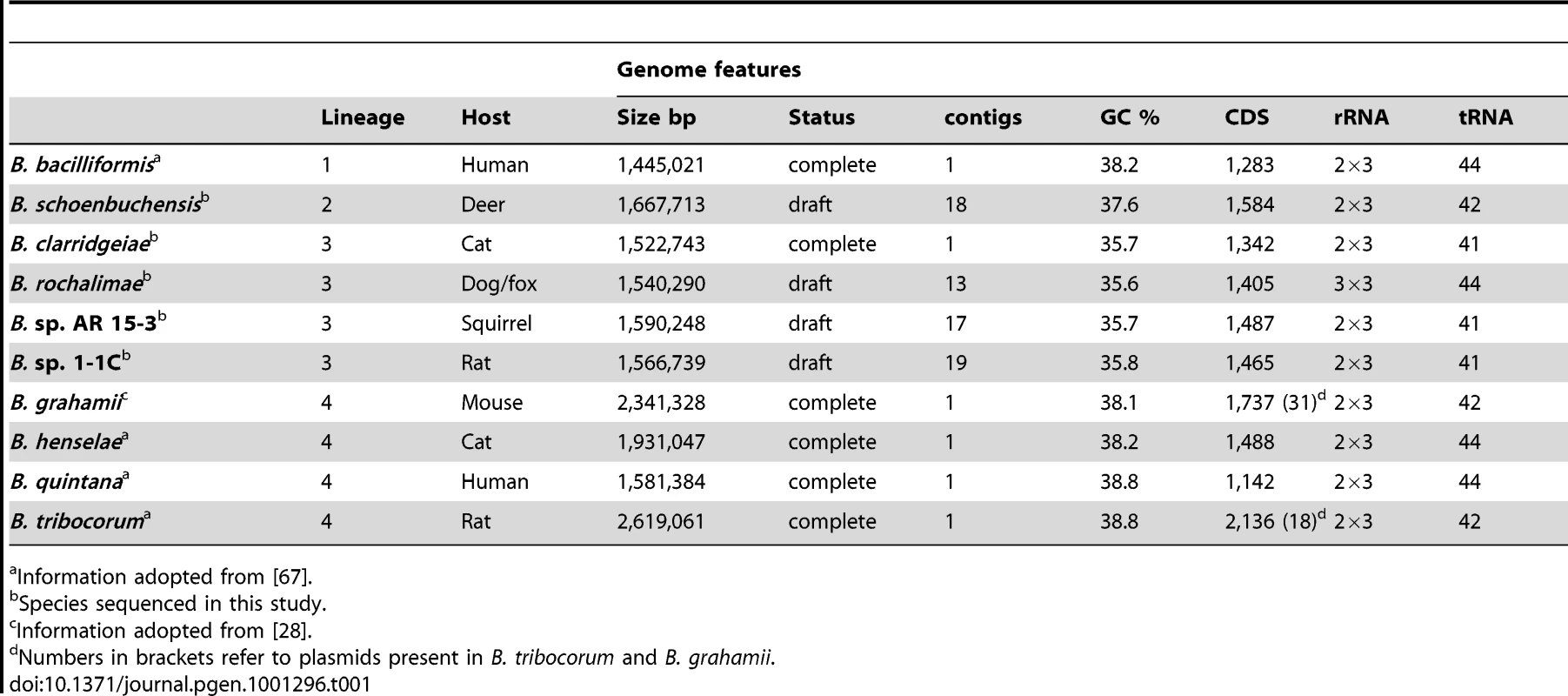 Genomic features of analyzed <i>Bartonella</i> species and information about their reservoir host and phylogenetic lineage (see also <em class="ref">Figure 1</em>).