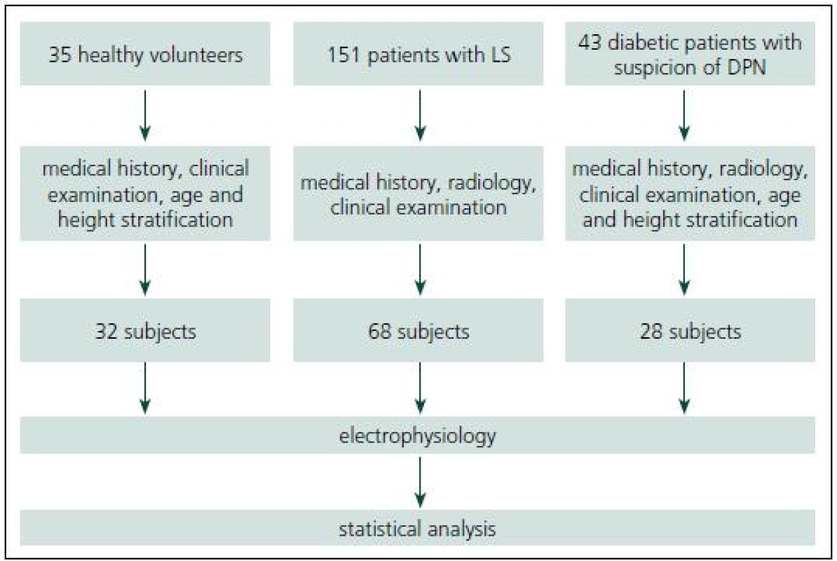 Study flowchart including subject recruitment.