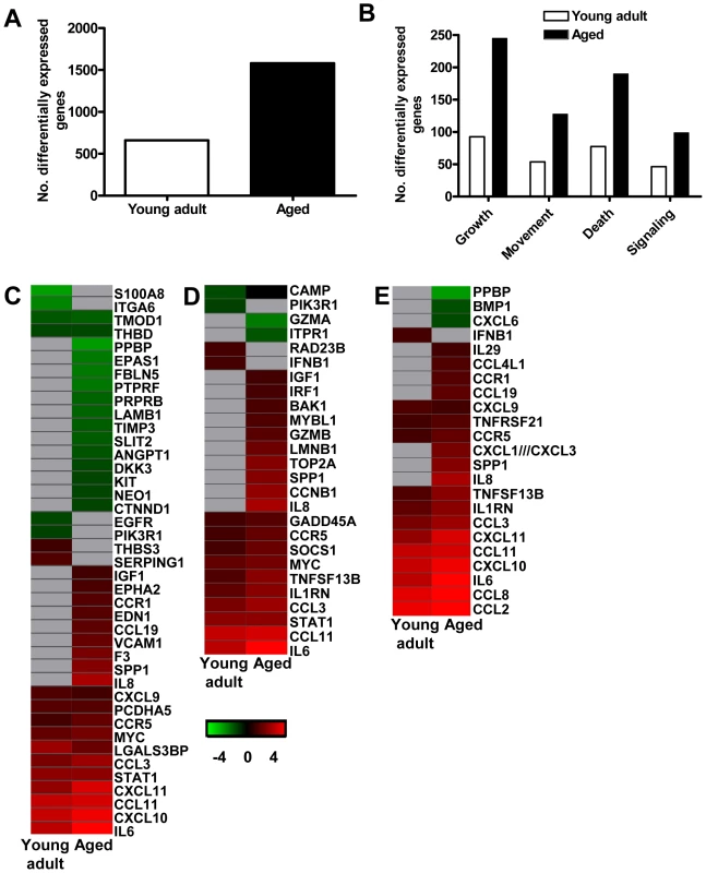 Aged macaques display a stronger host response to SARS-CoV infection than young adults.