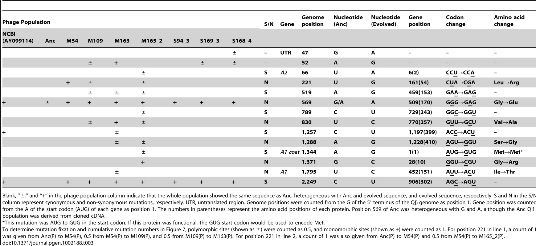Nucleotide sequences in the ancestral and evolved phage genomes.