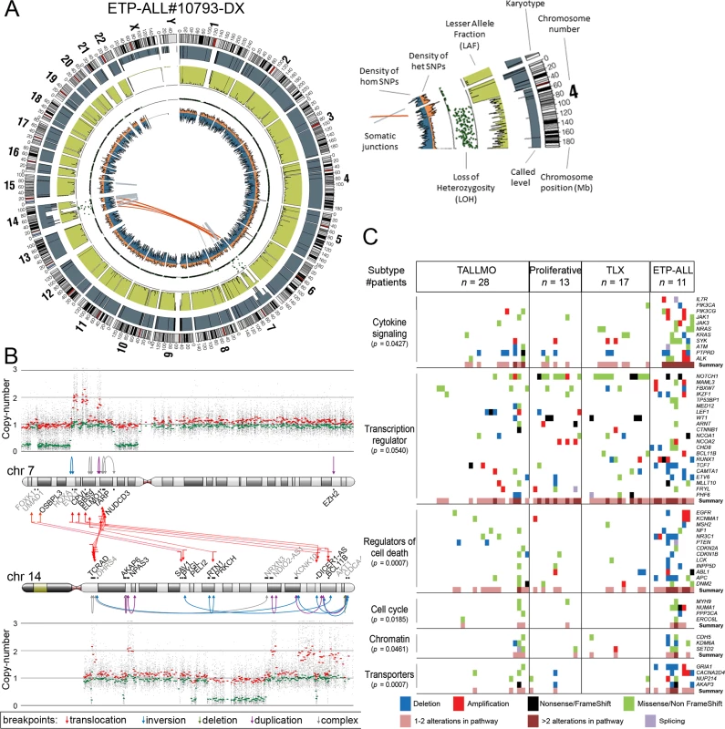 Whole genome and targeted exome sequencing results for pediatric T-ALL patients at diagnosis.