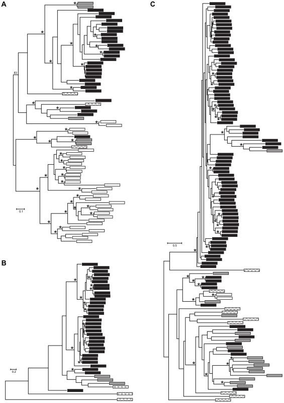 Maximum likelihood phylogenies of gene families containing (A) M36, (B) S41, and (C) Asp Pfam domains.