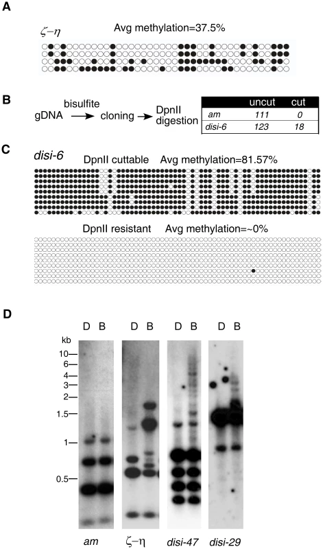 <i>disiRNA</i> loci have an on/off pattern of DNA methylation.
