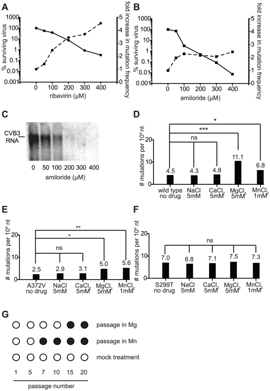 The mutagenic activity of amiloride is an indirect, secondary antiviral effect that correlates with increases in intracellular divalent cation (Mg<sup>2+</sup> or Mn<sup>2+</sup>) concentrations.