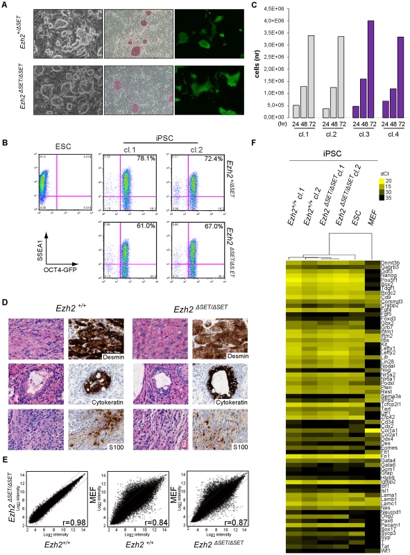 Characterization of pluripotency in iPSC clones reprogrammed upon <i>Ezh2</i> inactivation.