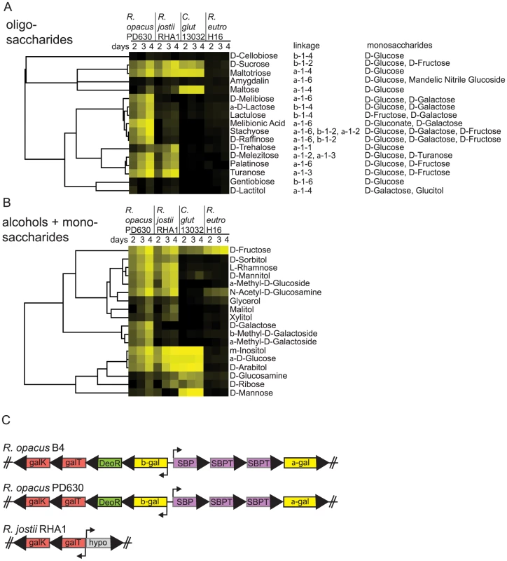 Screens of four bacterial species for growth on carbohydrates and alcohols.