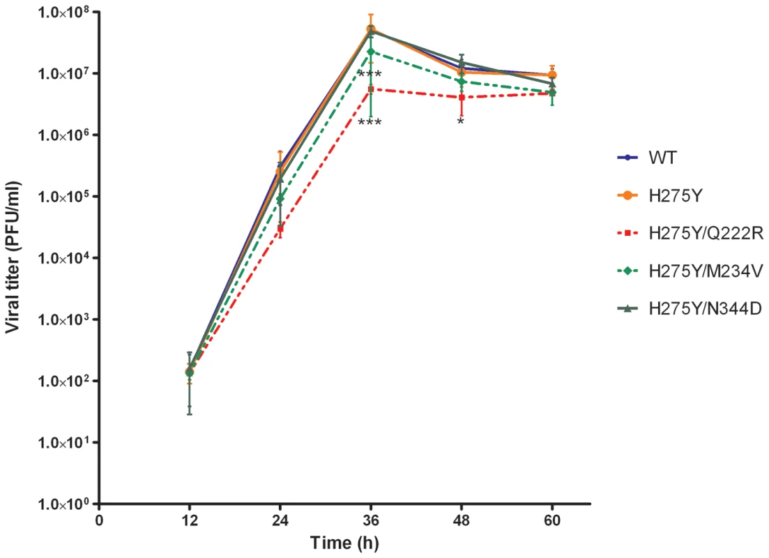 Replication kinetics of recombinant A/Brisbane/59/2007-like viruses <i>in vitro</i>.