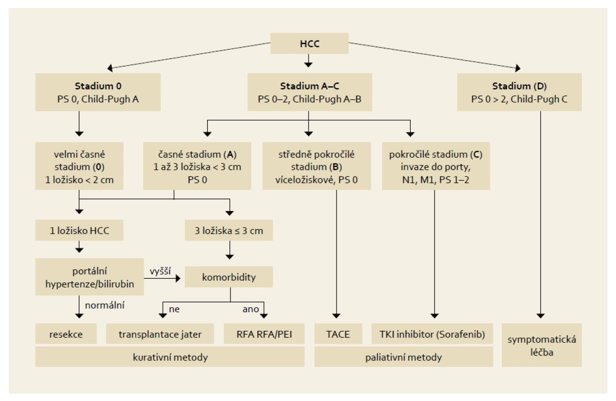 Základní léčebné postupy HCC dle „Barcelonské“ klasifikace.
Fig. 3. Basic treatment procedures for HCC according to the „Barcelona“ classification.