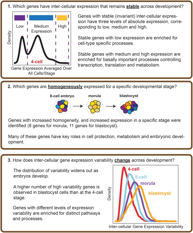 Overview of the analysis performed.