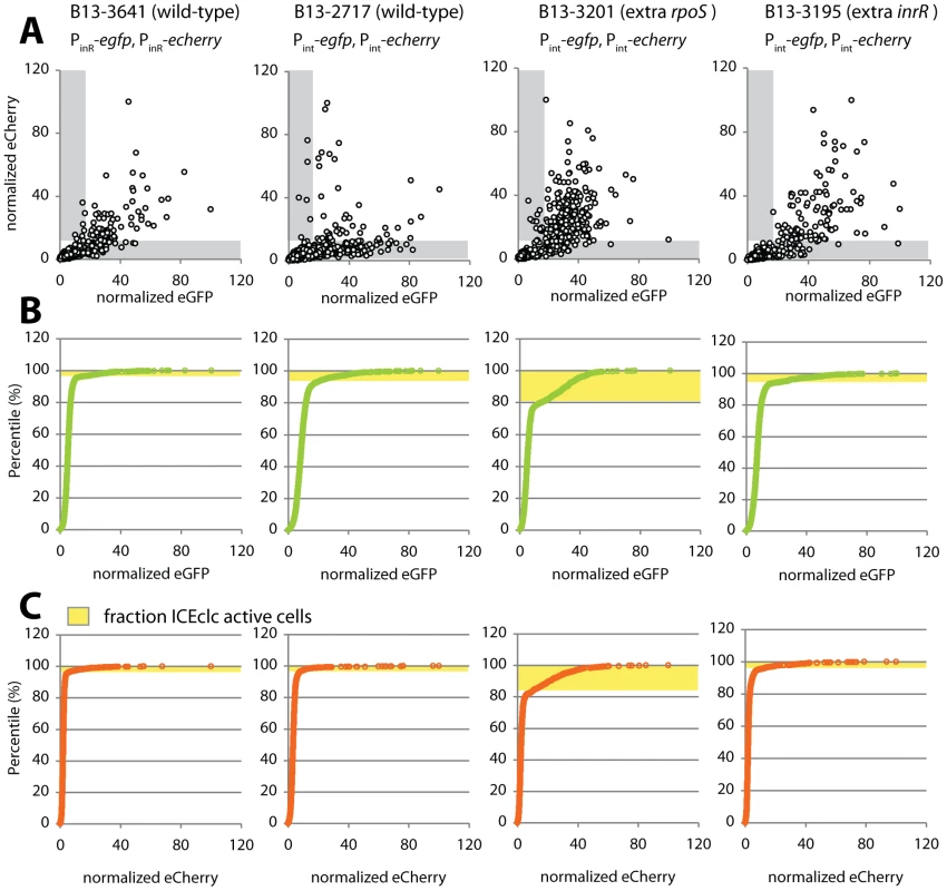 Noise in reporter gene expression from two separately placed single-copy identical promoters (P<i><sub>int</sub></i> or P<i><sub>inR</sub></i>) in <i>P. knackmussii</i> wild-type (strains 2717 and 3641) or with extra copies of <i>rpoS</i> (B13-3201) or <i>inrR</i> (B13-3195).