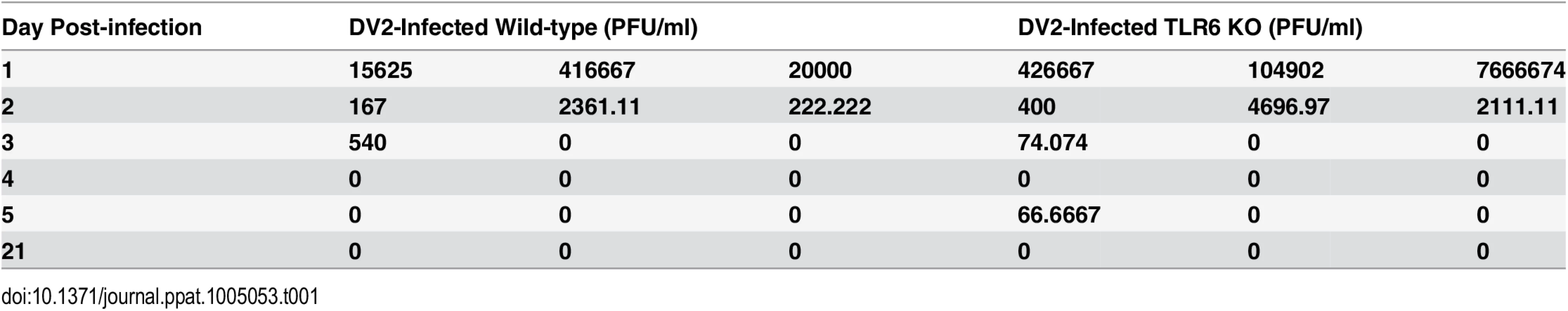 Virus titers of DV2 in sera of DV2-infected wild-type and TLR6 KO mice.