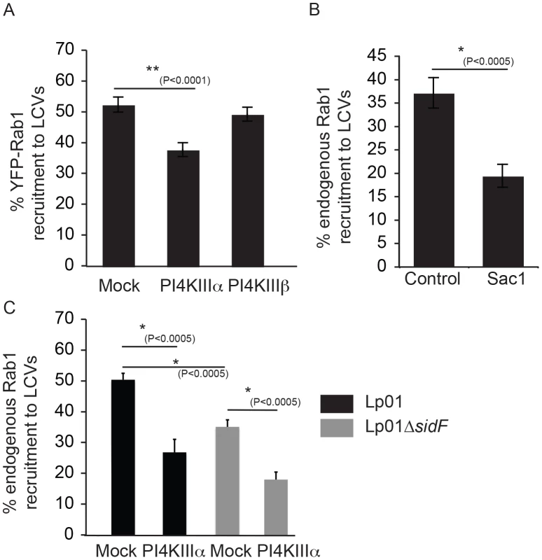 The host kinase PI4KIIIα is important for generation of a pool of PI4P used for DrrA targeting during infection.