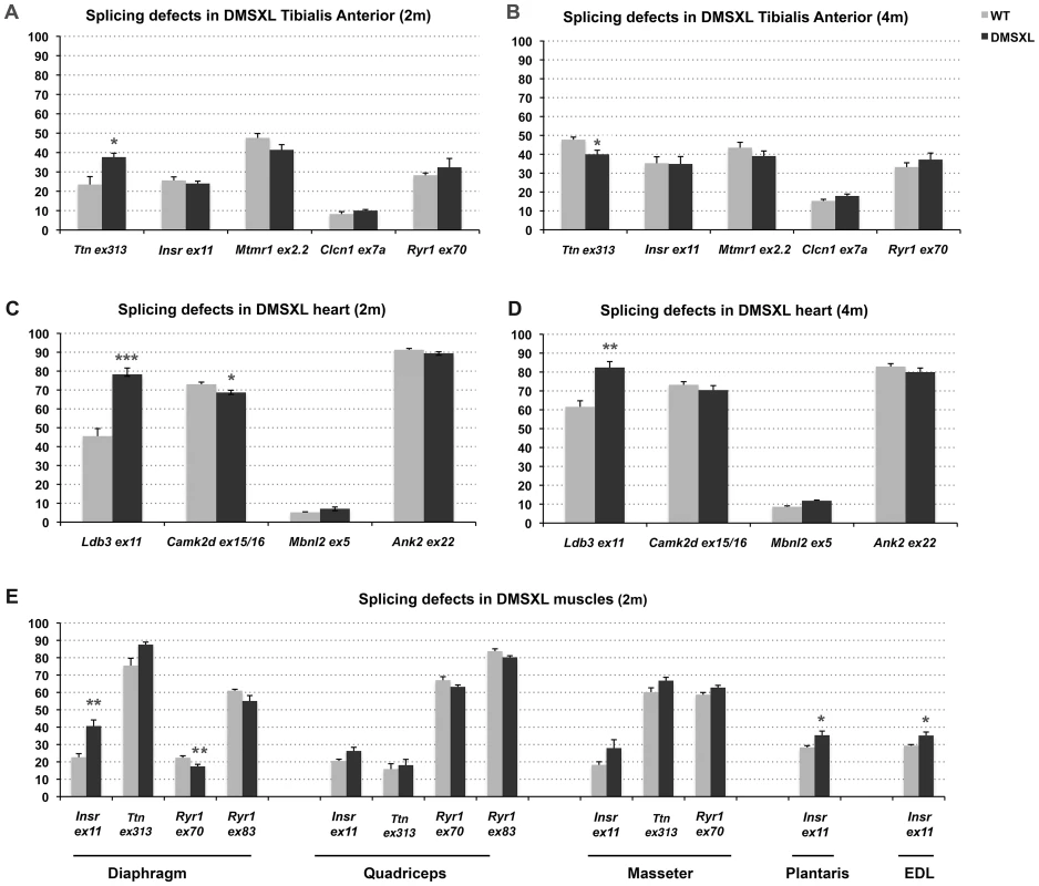 Splicing deregulation in DMSXL mice.