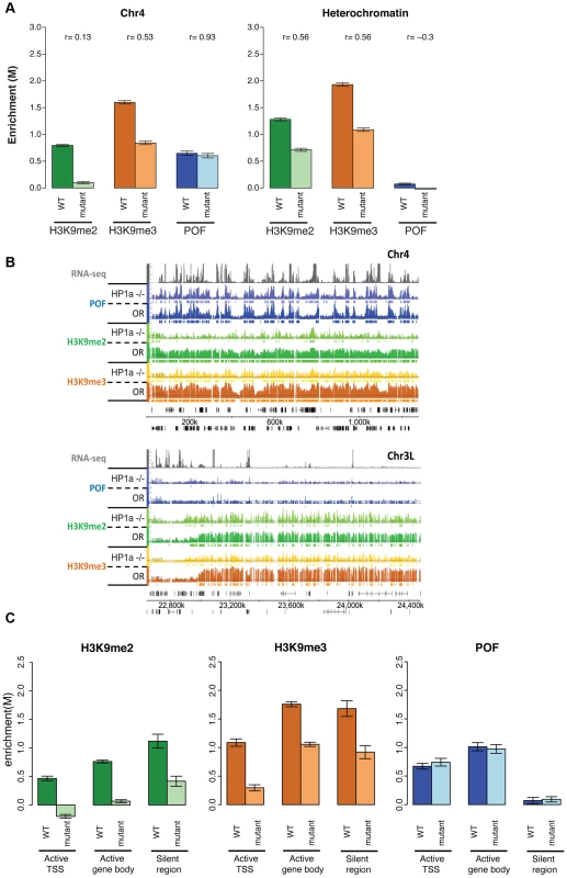 Lack of HP1a does not lead to a loss of POF from chromosome 4.