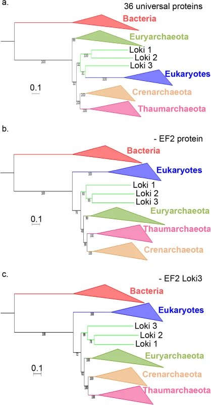 Impact of the EF2 protein on the concatenation of the curated datasets.