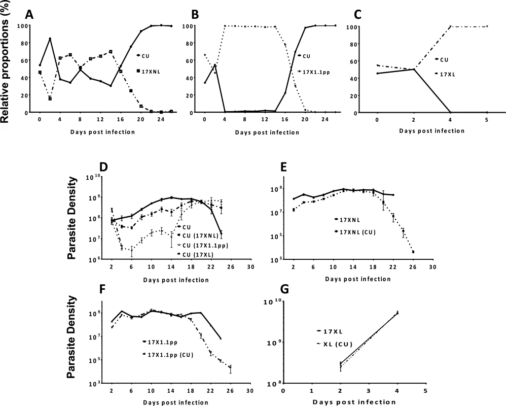 The relative proportions of strains of <i>Plasmodium yoelii yoelii</i> in mixed strain infections throughout the course of infections in mice (Panels A-C), and the parasite densities of the strains in single and mixed infections (Panels D-G).