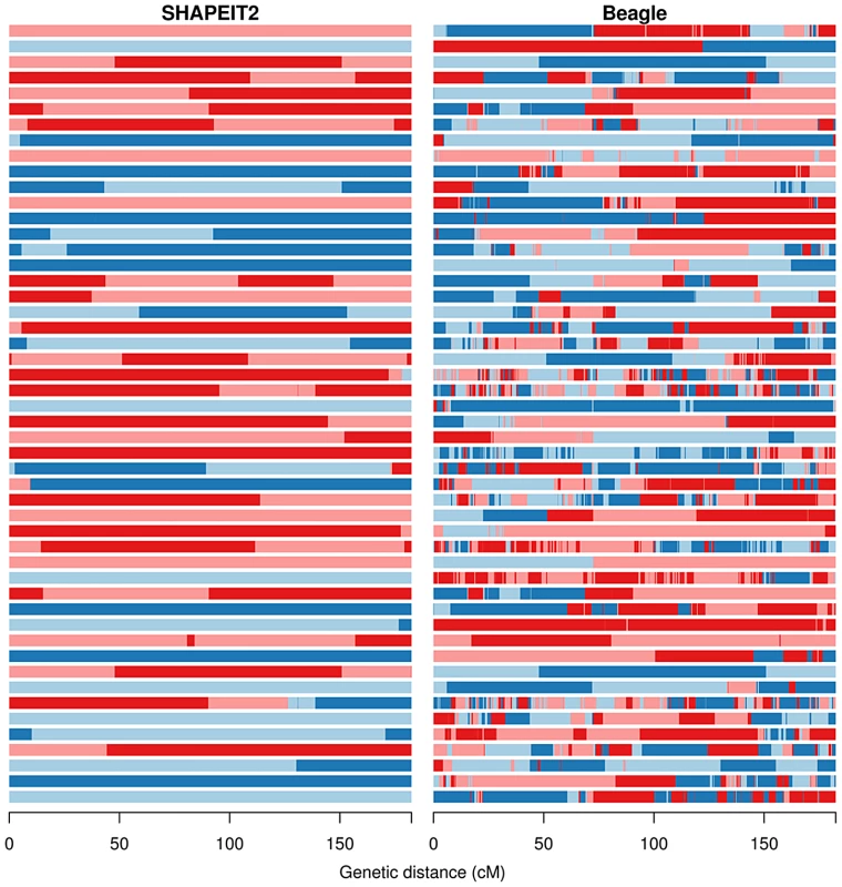 The duo HMM Viterbi paths for 50 father-child duos from the Val Borbera cohort on chromosome 10.