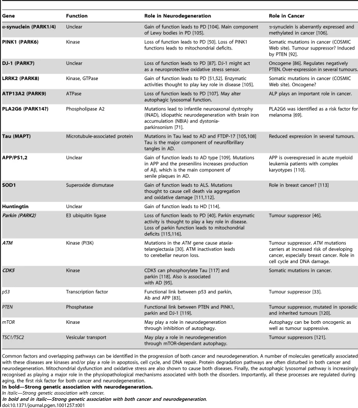 Genetic determinants at the interface of cancer and neurodegeneration.
