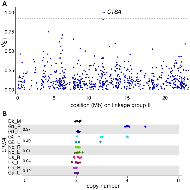 Population differentiation in gene copy-number.