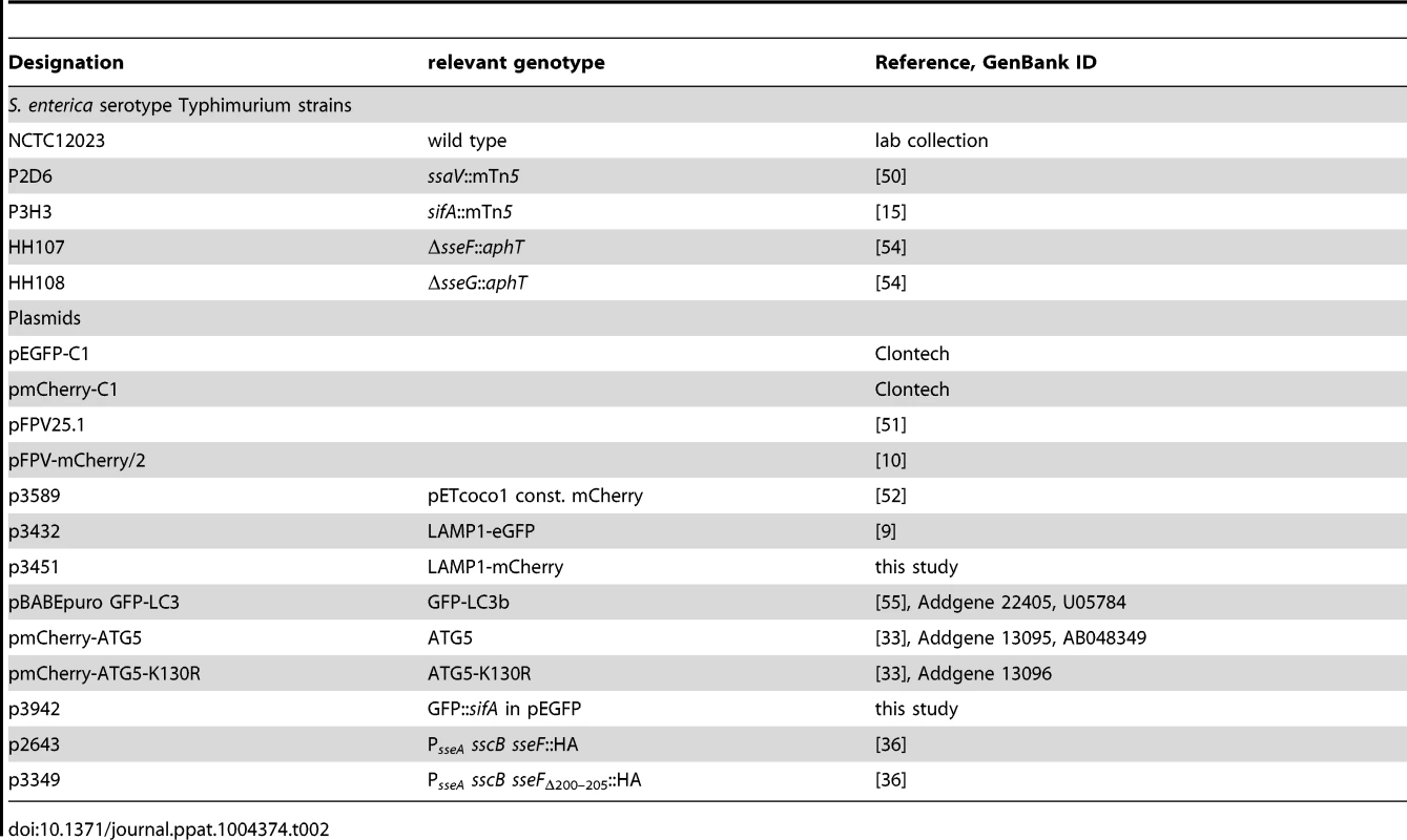Bacterial strains and plasmids used in this study.