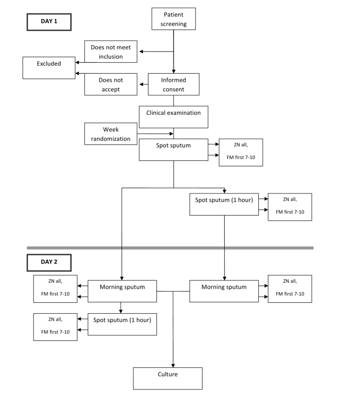Depiction of flow of participants.