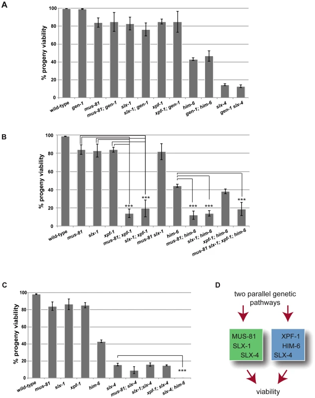 Dissection of genetic interactions between <i>gen-1, mus-81, slx-1, xpf-1</i>, <i>him-6 and slx-4</i>.