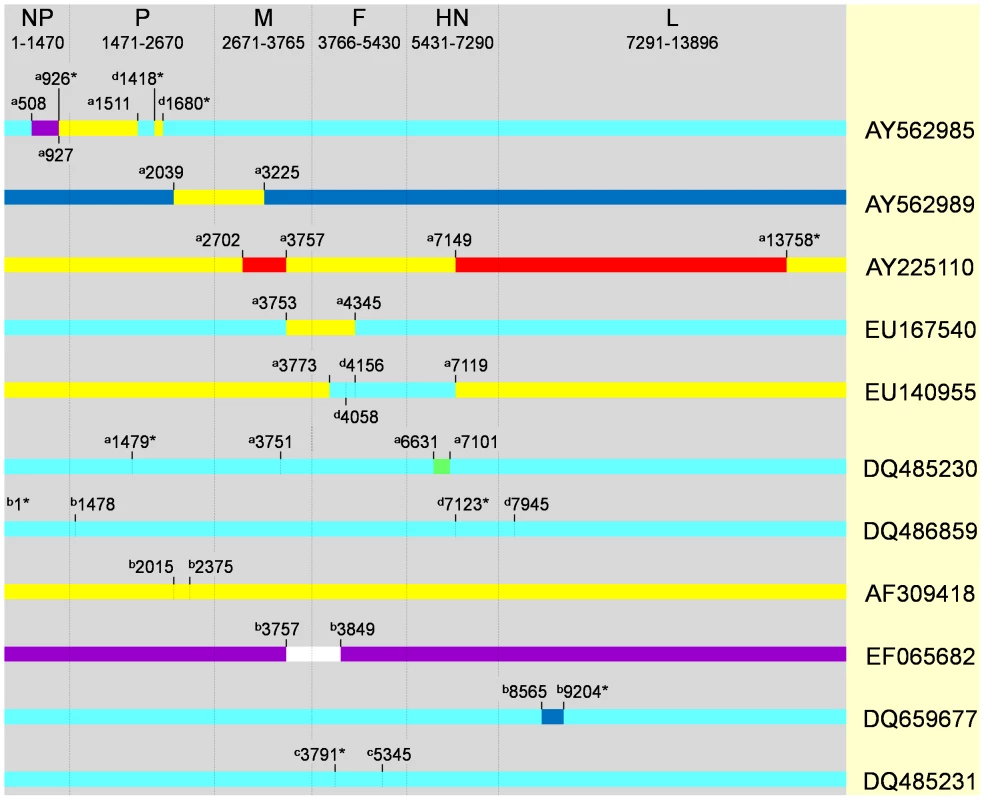 Recombination breakpoint map of eleven isolates detected by different methods implemented in RDP3 program.