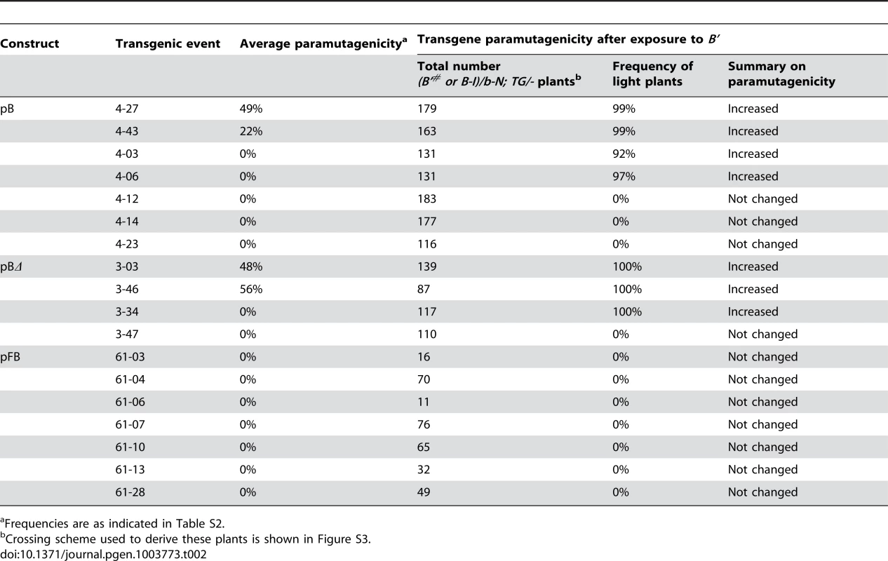 Ability of non-paramutagenic or weakly paramutagenic events to become more paramutagenic upon exposure to <i>B'</i>.