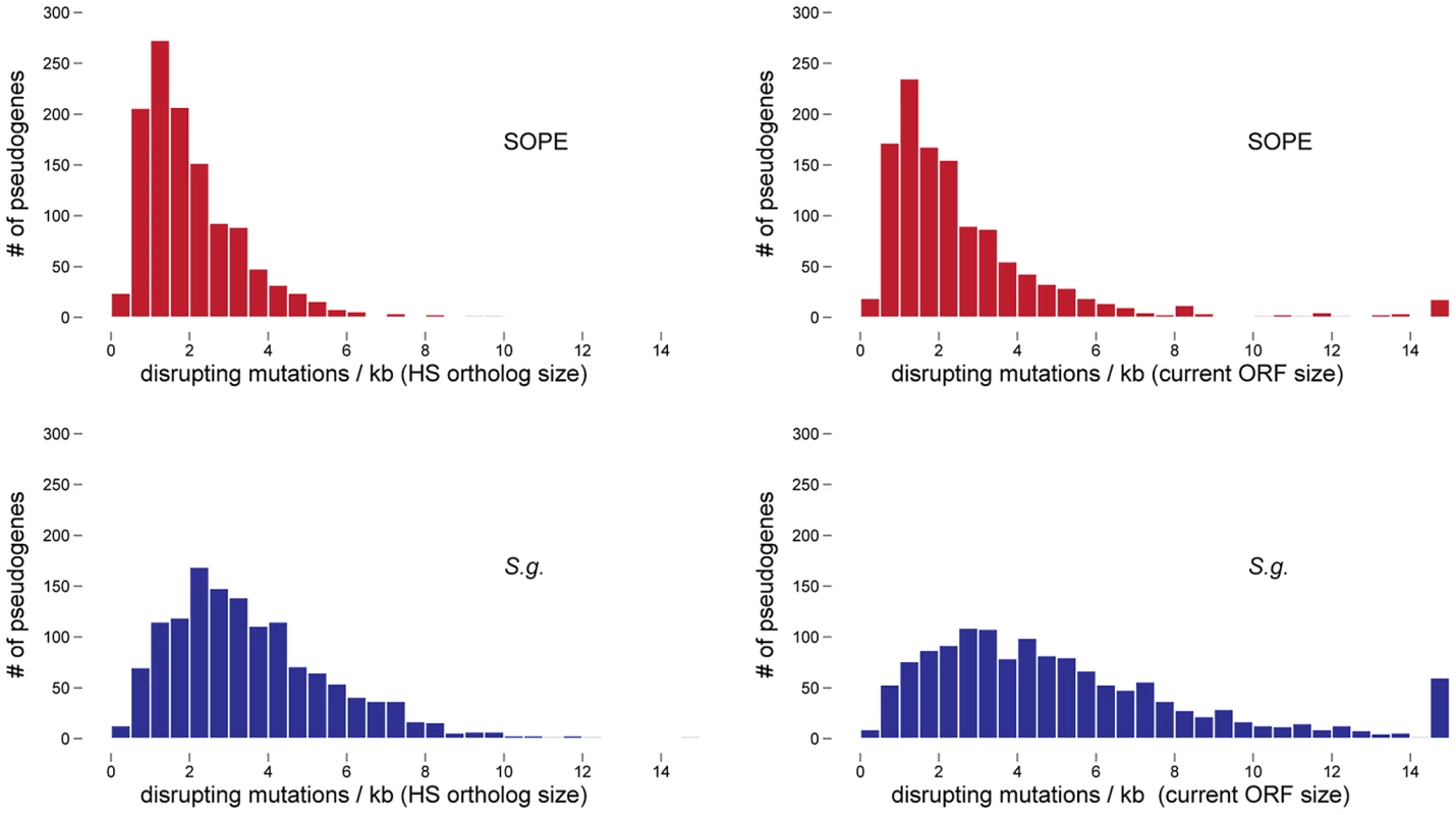 Densities of disrupting mutations in SOPE and <i>S. glossinidius</i> pseudogenes.