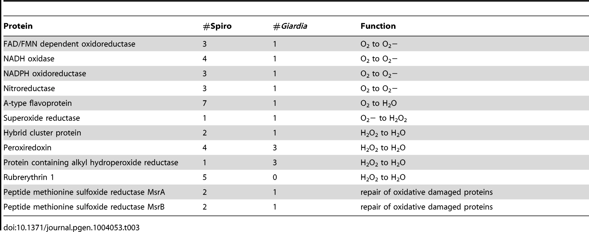 Enzymes involved in the oxidative stress response.