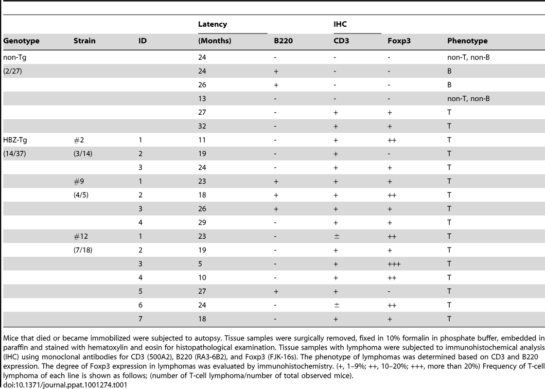 Characteristics of lymphomas in <i>HBZ</i>-Tg and non-Tg littermates.